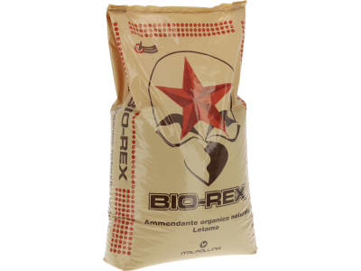 Italpollina Bio-Rex organisch-tierischer NPK 2.8+3+2 Naturdünger 25 kg Sack  Pellet