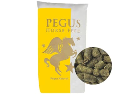 Pegus Natural Grünhafercobs stärkearmes Kraftfutter ohne Zusatzstoffe für Pferde und Ponys 20 kg Sack