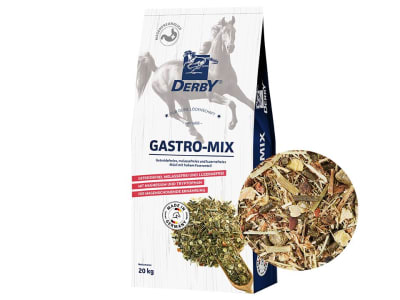 DERBY® Gastro-Mix getreidefreies, melassefreies Strukturmüsli ohne Luzerne 20 kg Sack DERBY® Gastro-Mix getreidefreies, melassefreies Strukturmüsli ohne Luzerne 20 kg Sack