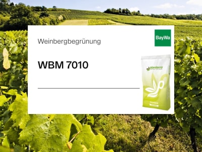 Weitere Bilder Weitere Bilder
