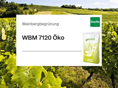 Weitere Bilder Weitere Bilder
