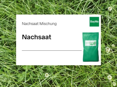 GreenTrip Nachsaat mit Klee für intensive Nutzung und deutschen Weidelgräsern 10 kg Sack GreenTrip Nachsaat mit Klee für intensive Nutzung und deutschen Weidelgräsern 10 kg Sack
