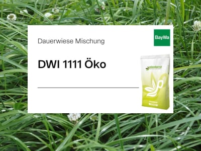 Planterra Dauerwiese DWI 1111 Bio für intensive Lagen zur hohen Ertragsleistung und Energiedichte Planterra Dauerwiese DWI 1111 Bio für intensive Lagen zur hohen Ertragsleistung und Energiedichte