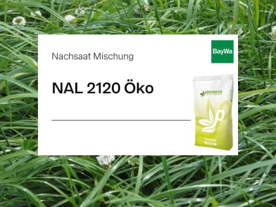 Weitere Bilder Weitere Bilder