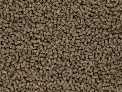 Kaiser B-LAK 100 pelletiertes Alleinfutter für Legehennen für Ökobetriebe geeignetes Legehennenfutter Hühnerfutter Pellet 25 kg Sack