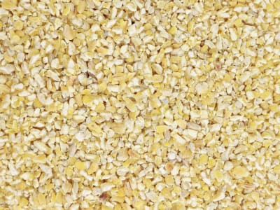 Kaiser Bio-Maisbruch A (anerkannte Ware) naturbelassener Bruchmais in Bio-Qualität 25 kg Sack Kaiser Bio-Maisbruch A (anerkannte Ware) naturbelassener Bruchmais in Bio-Qualität 25 kg Sack