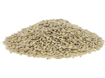 Kaiser Bio-Gerste A (anerkannte Ware) naturbelassene Futtergerste in Bio-Qualität 25 kg Sack