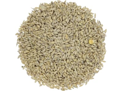 Kaiser Bio-Gerste A (anerkannte Ware) naturbelassene Futtergerste in Bio-Qualität   
