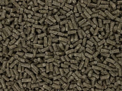 Kaiser B-PEK Kraftfutter für Pferde, für Ökobetriebe geeignetes Pferdefutter Kaiser B-PEK Kraftfutter für Pferde, für Ökobetriebe geeignetes Pferdefutter
