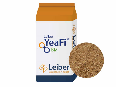 Leiber YeaFi® BM Rinder und Schweine 25 kg Sack