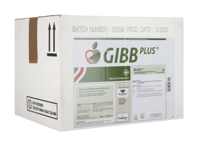  GIBB PLUS 1 l Flasche 