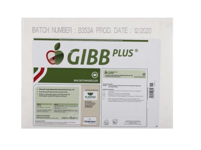  GIBB PLUS 1 l Flasche 