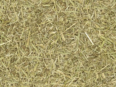 DERBY® Luzerne Pferdefutter mit hohen nativen Gehalten an Aminosäuren Faser 18 kg Sack DERBY® Luzerne Pferdefutter mit hohen nativen Gehalten an Aminosäuren Faser 18 kg Sack