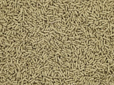 DERBY® Standard haferfreies, voll mineralisiertes Pelletfutter 25 kg Sack DERBY® Standard haferfreies, voll mineralisiertes Pelletfutter 25 kg Sack