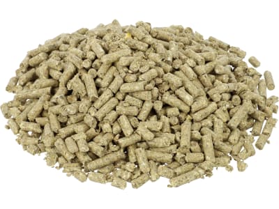 DERBY® Zucht zur Deckung des erhöhten Nährstoffbedarfs bei Zuchtstuten, Deckhengsten und Fohlen 25 kg Sack DERBY® Zucht zur Deckung des erhöhten Nährstoffbedarfs bei Zuchtstuten, Deckhengsten und Fohlen 25 kg Sack