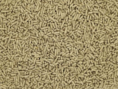 DERBY® Zucht zur Deckung des erhöhten Nährstoffbedarfs bei Zuchtstuten, Deckhengsten und Fohlen 25 kg Sack DERBY® Zucht zur Deckung des erhöhten Nährstoffbedarfs bei Zuchtstuten, Deckhengsten und Fohlen 25 kg Sack