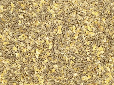 marstall® Freizeit Komplettmüsli ohne Hafer für Pferde 20 kg Sack marstall® Freizeit Komplettmüsli ohne Hafer für Pferde 20 kg Sack