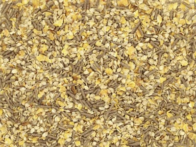 marstall® Haferfrei haferfreies Komplettmüsli für Pferde marstall® Haferfrei haferfreies Komplettmüsli für Pferde