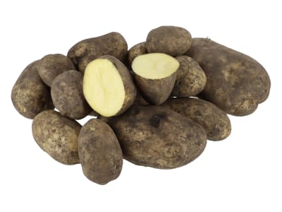 Pflanzkartoffeln Selma Pflanzkartoffeln Selma