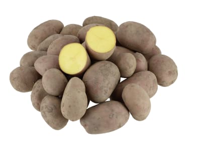 Pflanzkartoffeln Laura Pflanzkartoffeln Laura