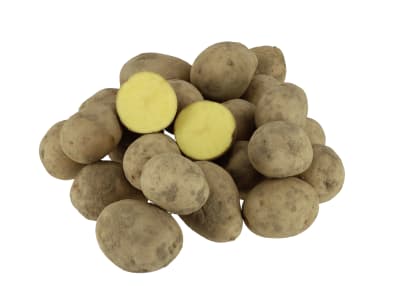 Pflanzkartoffeln Gala Pflanzkartoffeln Gala