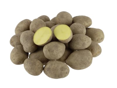 Pflanzkartoffeln Bernina  25 kg Sack