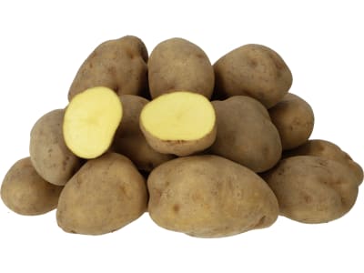 Pflanzkartoffeln Solara Pflanzkartoffeln Solara