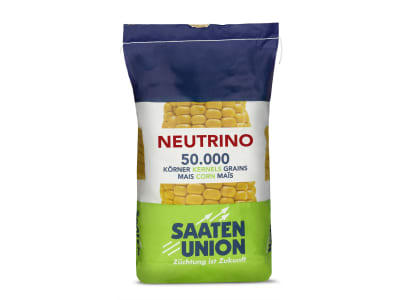 Mais-Saatgut Saaten Union NEUTRINO (S240 ca. K240) Mais-Saatgut Saaten Union NEUTRINO (S240 ca. K240)