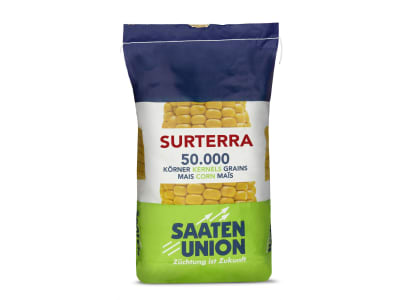 Mais-Saatgut Saaten Union SURTERRA (S250 K260) Mais-Saatgut Saaten Union SURTERRA (S250 K260)