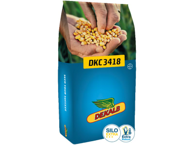 Mais-Saatgut Dekalb DKC 3418  EH Redigo M + Acceleron B360 + Korit (Acceleron Vogelrepellent) 50000 Körner/EH (S 250 ca. K 250)