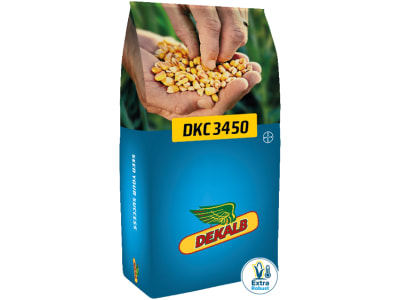 Mais-Saatgut Dekalb DKC 3450 (S250 K250) Mais-Saatgut Dekalb DKC 3450 (S250 K250)