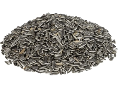Sonnenblumenkerne für Futterzwecke gestreift Vogelfutter Ganzjahresfutter 25 kg Sack Sonnenblumenkerne für Futterzwecke gestreift Vogelfutter Ganzjahresfutter 25 kg Sack