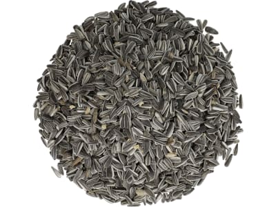 Sonnenblumenkerne für Futterzwecke gestreift Vogelfutter Ganzjahresfutter 25 kg Sack Sonnenblumenkerne für Futterzwecke gestreift Vogelfutter Ganzjahresfutter 25 kg Sack