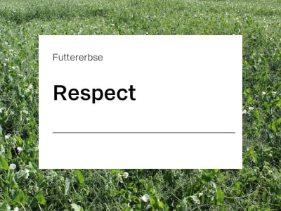 Futtererbse Respect ZS beste Standfestigkeit 50 kg Sack Futtererbse Respect ZS beste Standfestigkeit 50 kg Sack