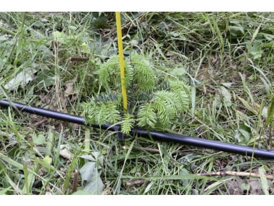 BayWa Forstbewässerungs-Startpaket Waldbewässerung, förderfähig in Bayern    