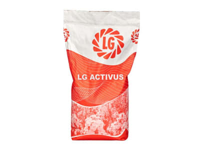 Winterraps Saatgut LG ACTIVUS   