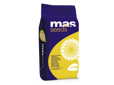 Sonnenblume MAS 81.K Bio ungebeizt 150000 Körner/EH (LO) Low-Oleic Sonnenblume MAS 81.K Bio ungebeizt 150000 Körner/EH (LO) Low-Oleic