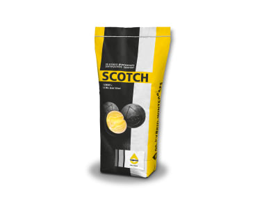 Winterraps Saatgut Rapool SCOTCH Winterraps Saatgut Rapool SCOTCH