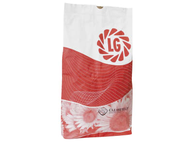 Sonnenblume LG 50.500 Influx Plenaris  EH 150000 Körner 