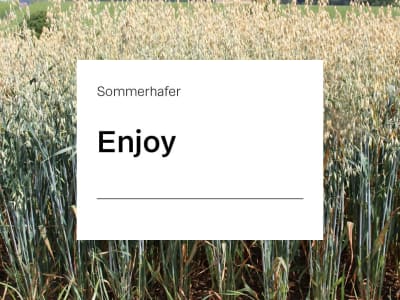 Sommerhafer Enjoy ZS Sommerhafer Enjoy ZS