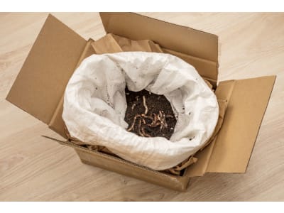 NEUDORFF Kompostwürmer zur Kompostierung von Küchen- und weichen Gartenabfällen NEUDORFF Kompostwürmer zur Kompostierung von Küchen- und weichen Gartenabfällen
