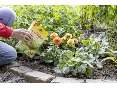 NEUDORFF Ferramol Schneckenkorn 1 kg Schachtel Bio, Schnecken und Nacktschnecken natürlich bekämpfen, auch im ökologischen Landbau 200 m²