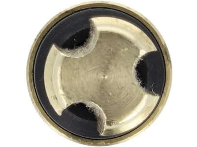 Suevia Ventilkegel mit Dichtung für Tränkebecken Mod. 8, 102.0033 Suevia Ventilkegel mit Dichtung für Tränkebecken Mod. 8, 102.0033