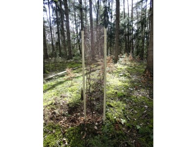 PlantaGard® Wuchshülle "Freiwuchs-Bio 200" Ø 20 cm Höhe 120 cm, 1 St. PlantaGard® Wuchshülle "Freiwuchs-Bio 200" Ø 20 cm Höhe 120 cm, 1 St.