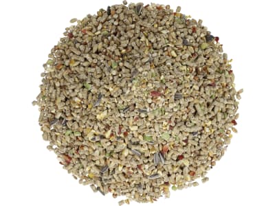GALLUGOLD Eierglück Bunte Vielfalt Premium OG Körnermischung als Legehennenfutter, Hühnerfutter, Alleinfuttermittel für Legehennen Körner 20 kg Sack GALLUGOLD Eierglück Bunte Vielfalt Premium OG Körnermischung als Legehennenfutter, Hühnerfutter, Alleinfuttermittel für Legehennen Körner 20 kg Sack