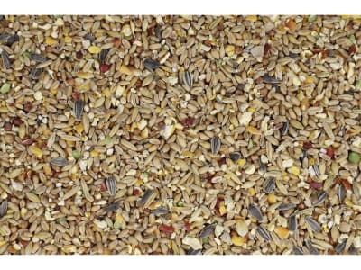 GALLUGOLD Landkorn Premium OG Bunte Körnermischung für Geflügel und Wildgeflügel Körner 20 kg Sack GALLUGOLD Landkorn Premium OG Bunte Körnermischung für Geflügel und Wildgeflügel Körner 20 kg Sack