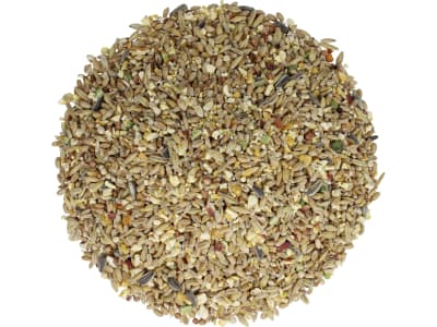 GALLUGOLD Landkorn Premium OG Bunte Körnermischung für Geflügel und Wildgeflügel Körner 20 kg Sack GALLUGOLD Landkorn Premium OG Bunte Körnermischung für Geflügel und Wildgeflügel Körner 20 kg Sack