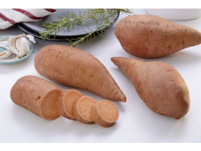 Süßkartoffel Setzlinge Oreleans Bio süße Sorte mit orangenem Fruchtfleisch (Palette mit 84 Jungpflanzen) Süßkartoffel Setzlinge Oreleans Bio süße Sorte mit orangenem Fruchtfleisch (Palette mit 84 Jungpflanzen)