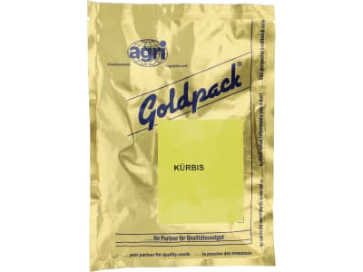 Halloween Kürbissamen Golden Wizard F1  Packung 100 Körner/EH ungebeizt 