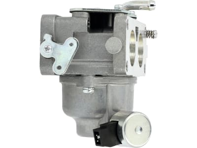 Briggs & Stratton Vergaser für Motor Serie 40, 44, 595 613 günstig online  kaufen